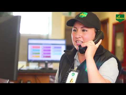 Capacitación Llamada telefónica